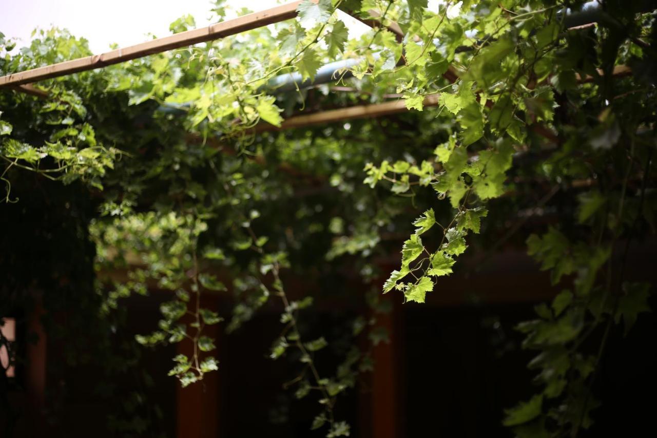 Auberge Jaafar 米德勒特 外观 照片